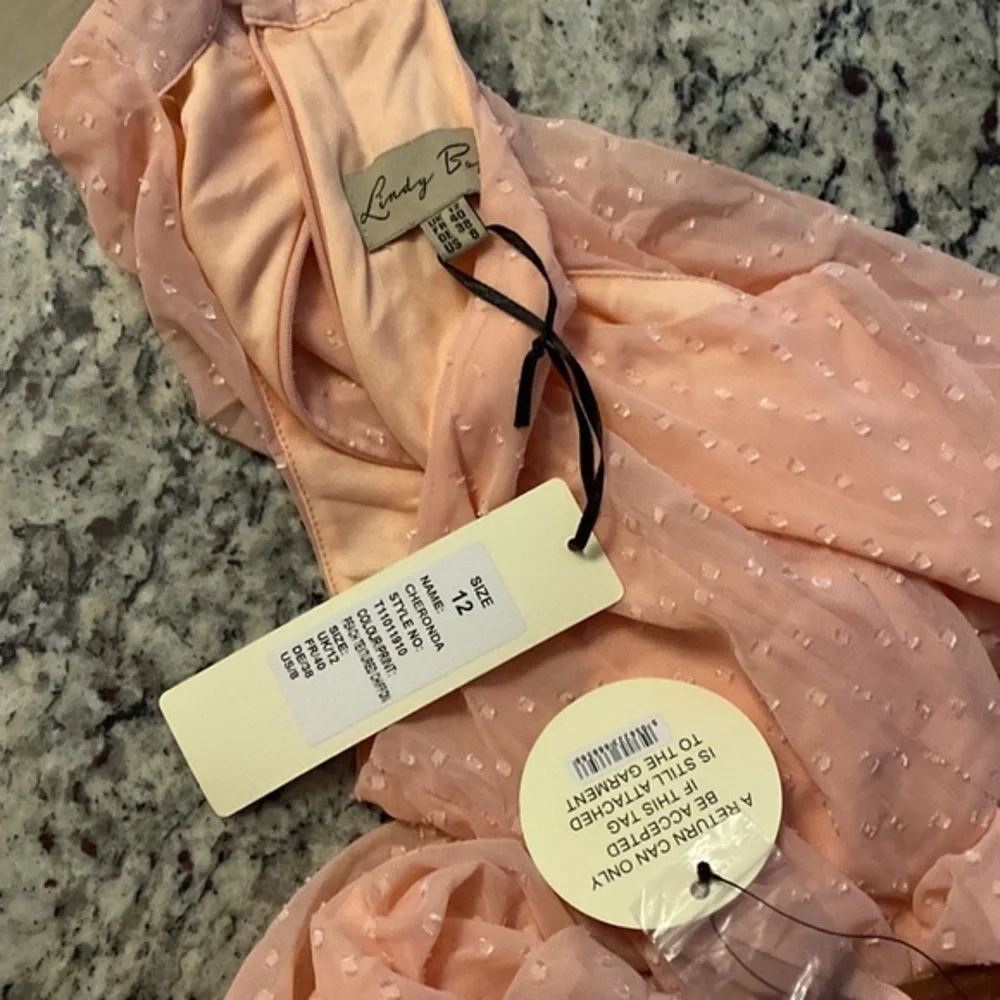 NWT Lindy Bop Cheronda Peach Chiffon Textured Sleeveless Fit Flare Dress 8 WW4